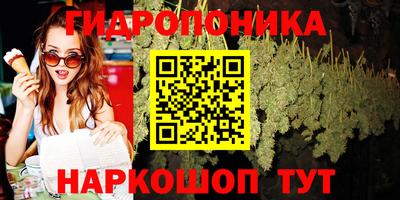 гидра Заволжье
