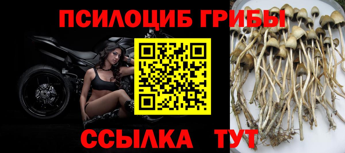 где купить наркоту  Вход с VPN  Шарыпово  Галлюциногенные грибы Magic Shrooms 